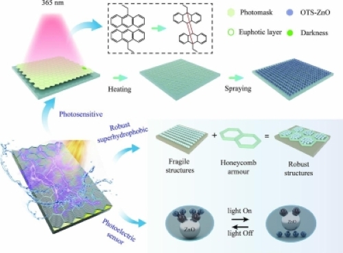 Bioinspired photo.jpg